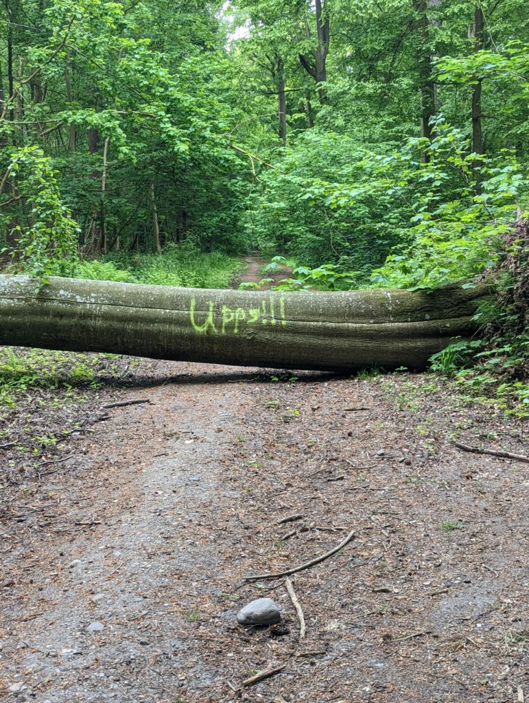 umgefallener Baum über Waldweg mit neongelbem Schriftzug "uppps!"