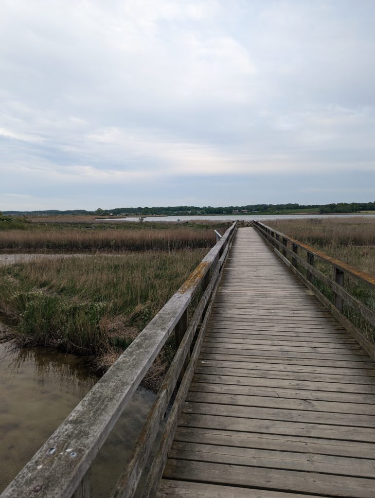 Holzweg im Naturschutzgebiet Hohwachter Bucht