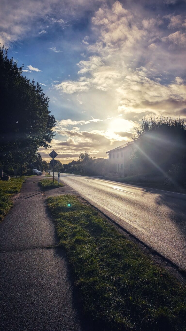 Morgenstimmung